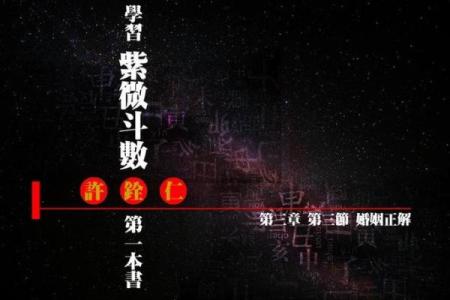我的之一本紫薇斗数书