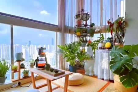 家居阳台风水知识 适合放在阳台的几种招财物