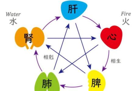 八字金水旺