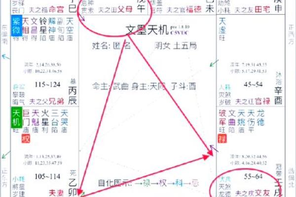 紫薇斗数看以什么方式赚钱