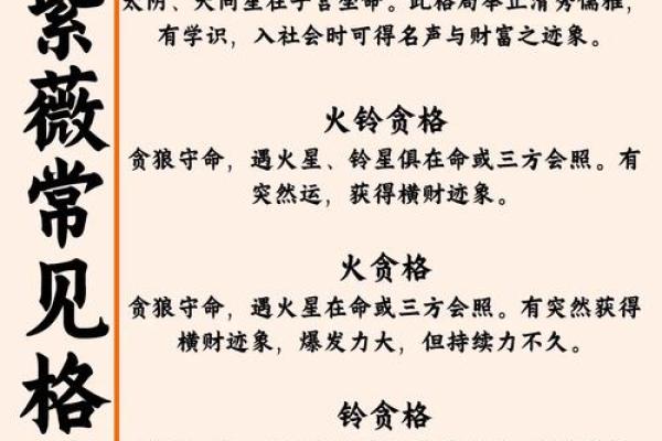 中州派紫薇斗数特点