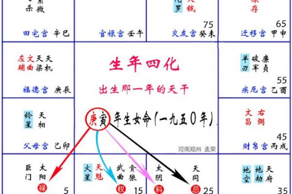 加紫薇斗数术语