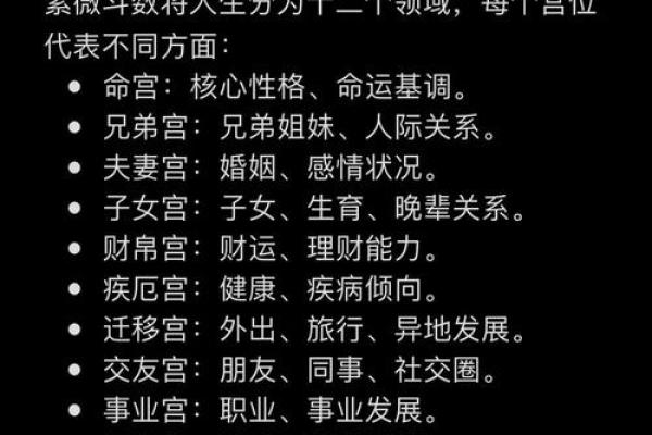 紫薇斗数网上命例