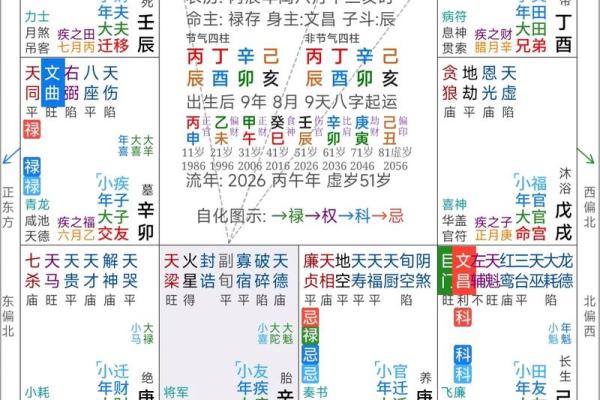 紫薇斗数网上命例