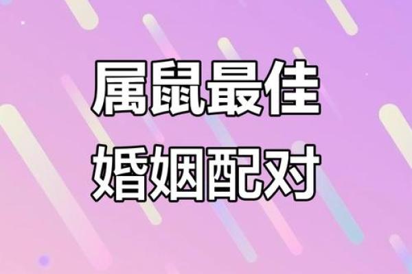 生肖配对：属鼠的和什么属相最配