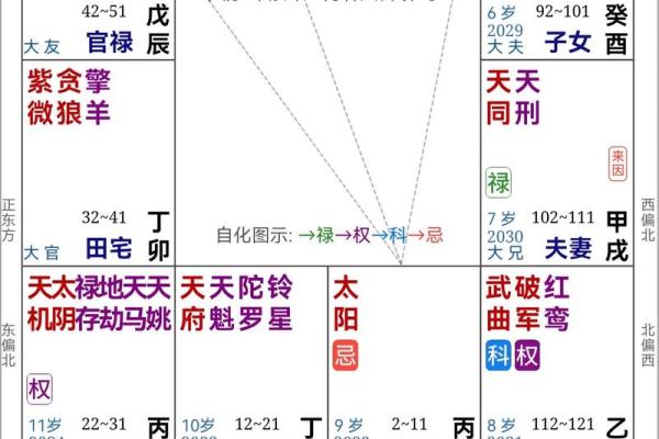 紫薇斗数看面相