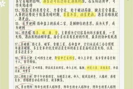 加紫薇斗数术语