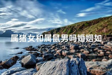 属猪和属鼠的八字合吗