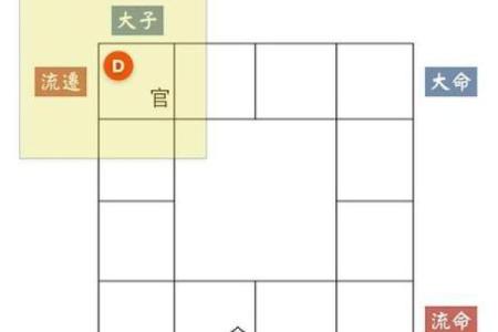 紫薇斗数批大限