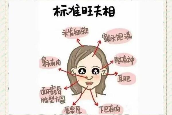 教你怎么成为旺夫的的女人，面相算命图解