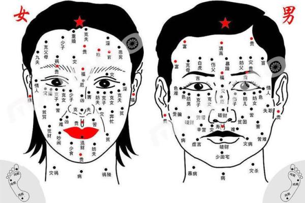 教你怎么成为旺夫的的女人，面相算命图解