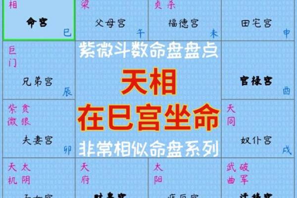 紫薇斗数文昌入命宫