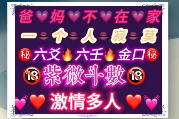 紫薇斗数群聊吧