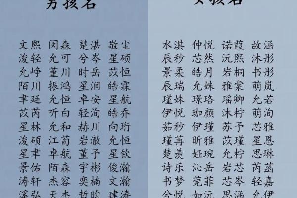 给属鼠巳时出生的男孩取名的好方法姓名