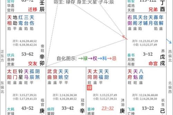 紫薇斗数流年运禄