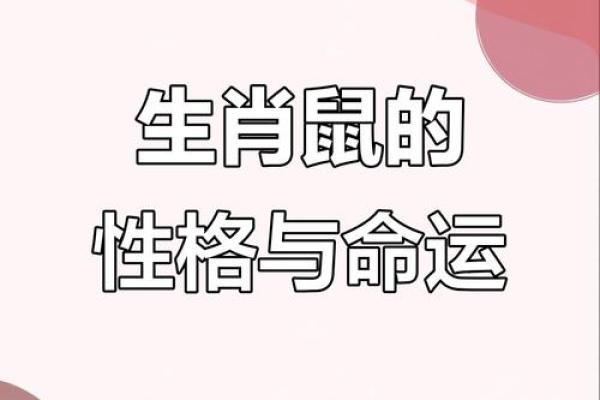 属鼠AB血型的人性格与事业姻缘