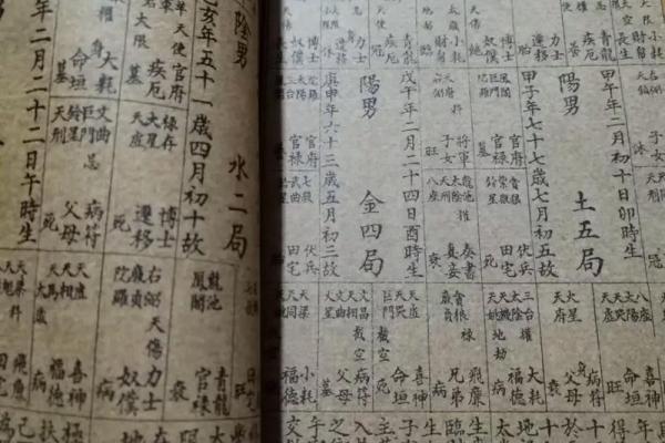 紫薇斗数看生子年