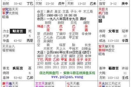 紫薇斗数和六壬