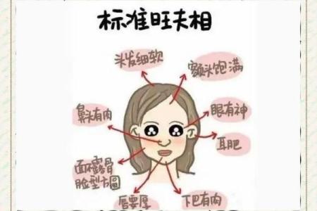 教你怎么成为旺夫的的女人，面相算命图解