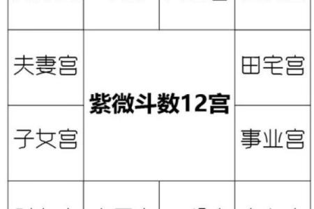 紫薇斗数与父母