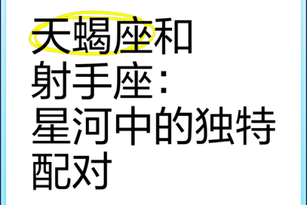射手座和双鱼座的终极配对