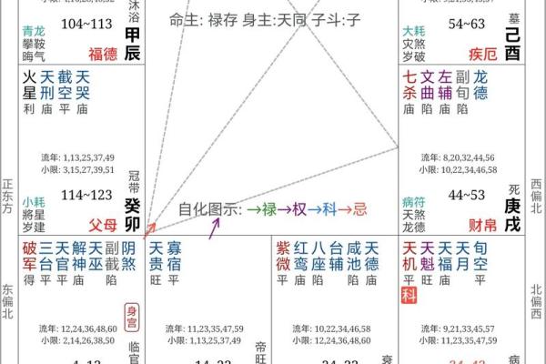 紫薇斗数中禄忌权科什么意思