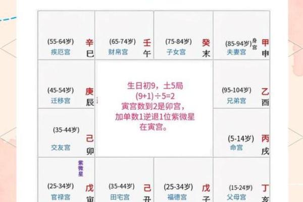 紫微斗数在线算命免费下载 紫微斗数在线排盘免费解析？