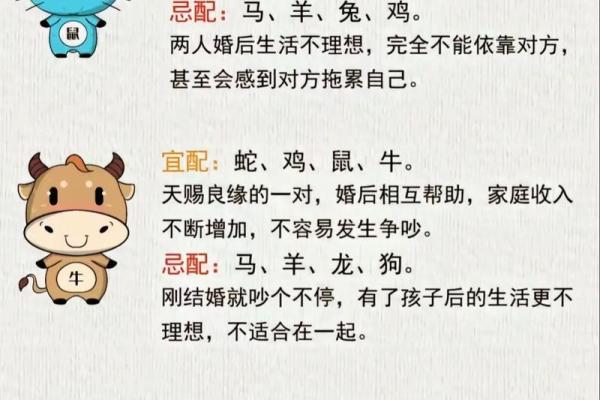 61年属什么生肖配对