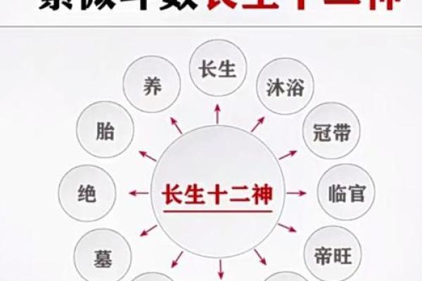 紫薇斗数性格犟