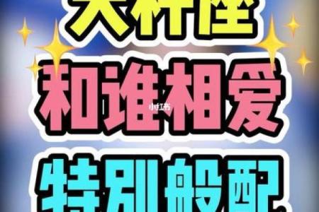 天秤座和哪个星座也是很默契的