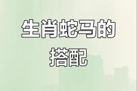 婚姻属相配对查询属马 哪些属相与属马最相配