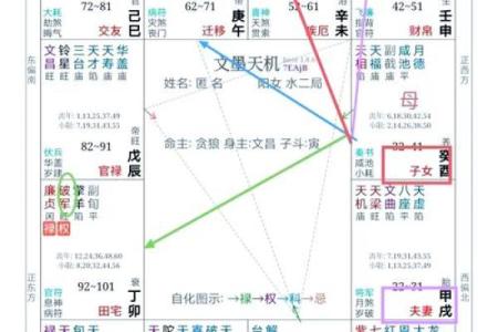 紫微斗数在线算命免费下载 紫微斗数在线排盘免费解析？