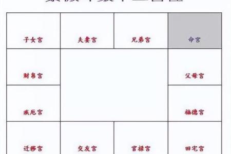 紫薇斗数反格
