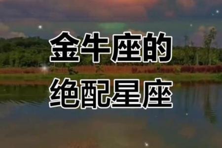 最宠金牛座的星座 最爱金牛座的星座