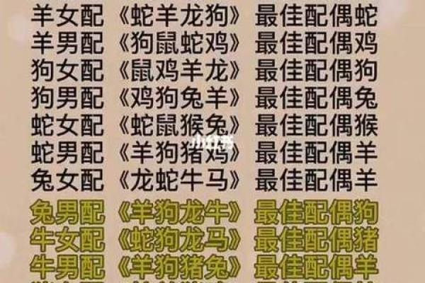 属龙和属狗适合做夫妻吗 配对有什么缺点