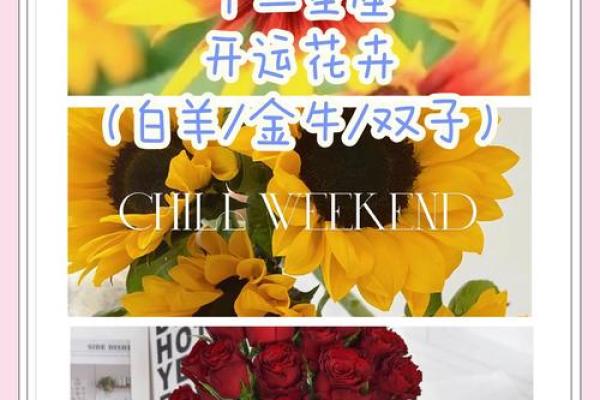十二星座什么花适合自己