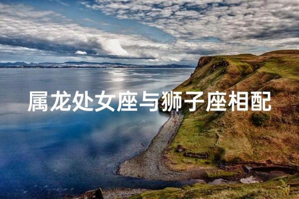 狮子座和处女座合不合 狮子座和处女座配对指数