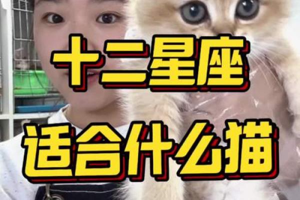 十二星座猫品种大全，让你一秒钟爱上这些可爱的猫！