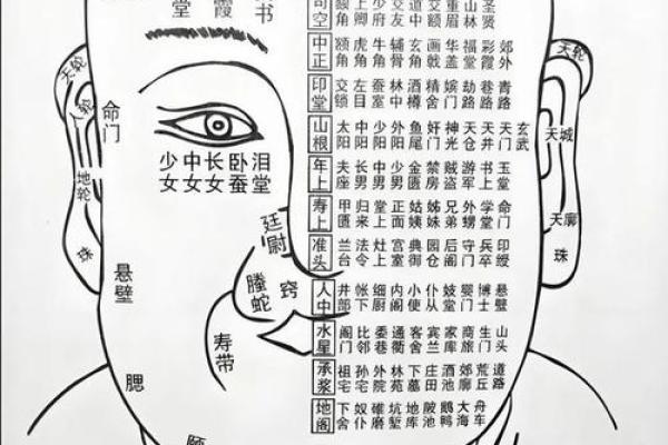 面相为什么断眉是富贵之相风水解答