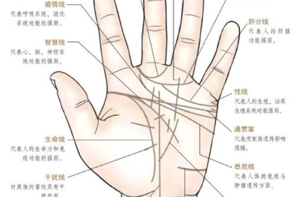 在线扫一扫测手相算命,扫一扫测手相算命免费