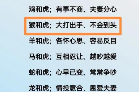 免费姓名配对测试在线网,姓名配对测试两人关系免费