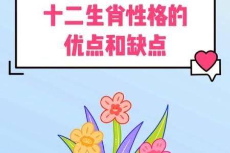 生肖鼠四大血型人的前途