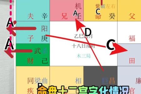 紫薇斗数命盘排盘软件