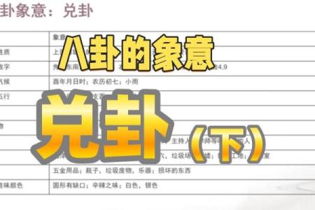 紫微斗数之八卦万物类象：兑卦详解