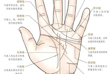在线扫一扫测手相算命,扫一扫测手相算命免费