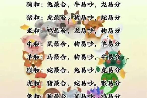 12生肖佳姻缘配对