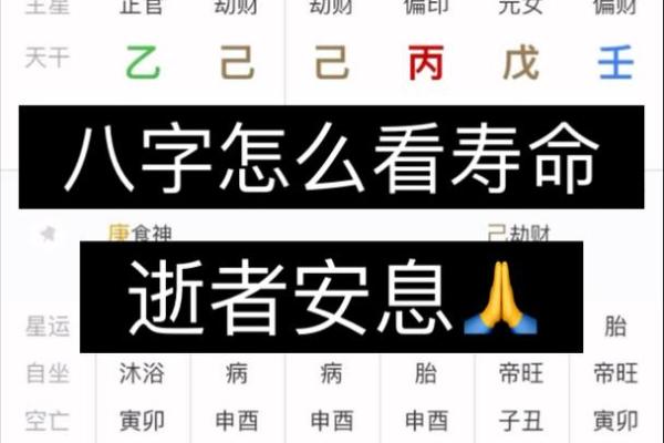 婴儿八字