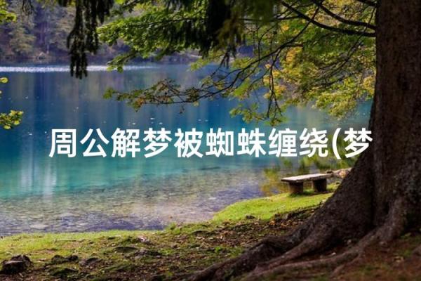 风水观点为什么总是梦见蜘蛛网呢