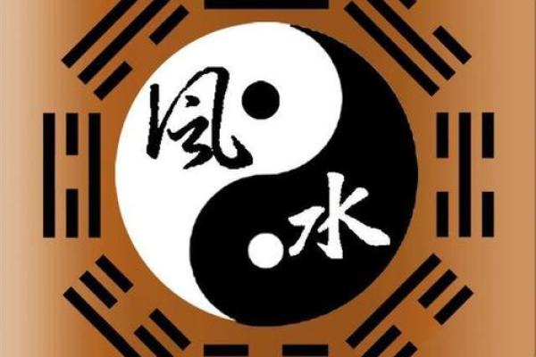 风水观点为什么总是梦见蜘蛛网呢
