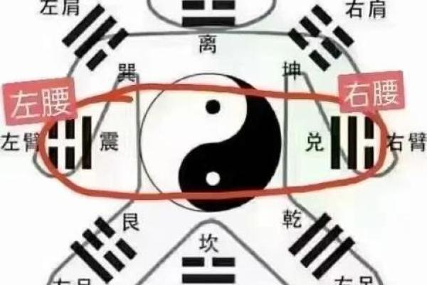 厨房的风水_厨房卫浴风水小知识